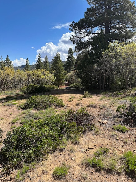 0 Bonnie Green Dr Unit 25-263689, Duck Creek, UT 84762