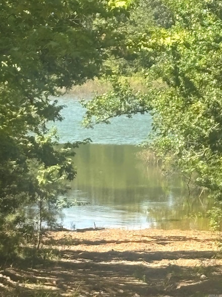 0 Christopher Dr Unit 25029136, Greers Ferry, AR 72067
