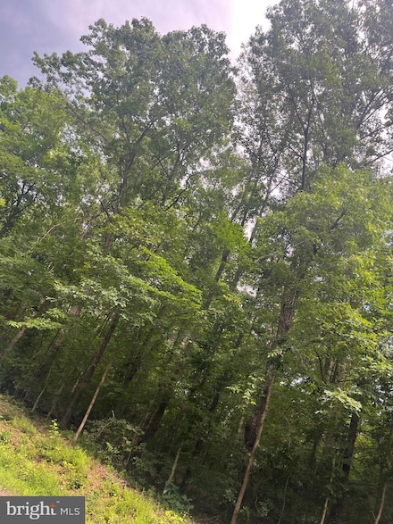 0 Meander Run Rd Unit VAMA2002314, Locust Dale, VA 22948