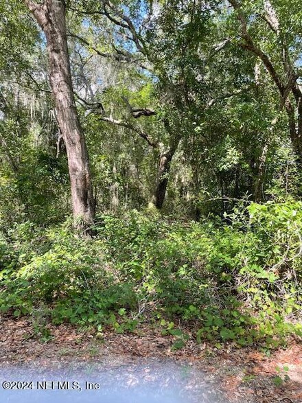 7043 Gatorbone Rd, Keystone Heights, FL 32656