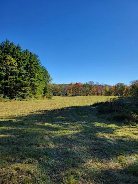 0 Hurricane Ridge Rd, Hines, WV 25958