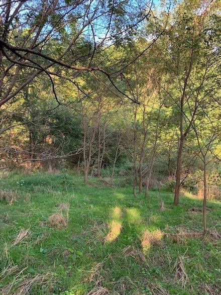 340 Cortner Hollow Rd, Petersburg, TN 37144