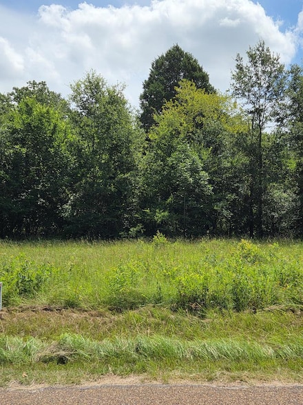 166 Deer Run Ln, Mabank, TX 75156