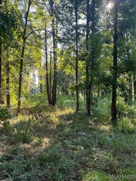 1506 Barganier Rd, Cecil, AL 36013