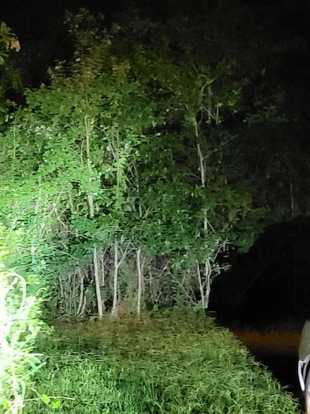 Lot of 3 Satcher Dr, Picayune, MS 39466