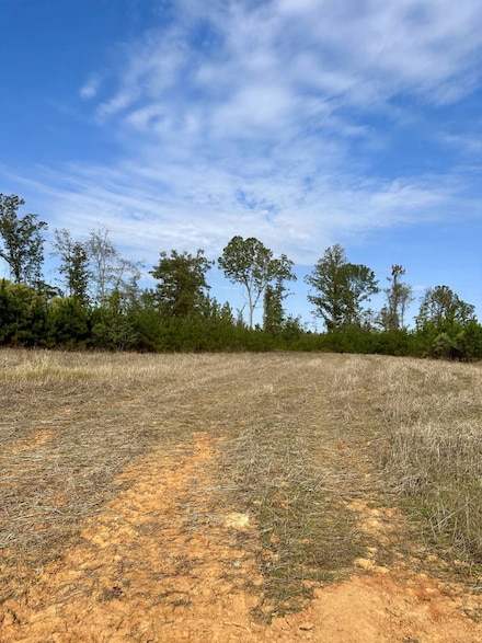 2500 Vowell Town and Guyton Vowell Rd, Louisville, MS 39339