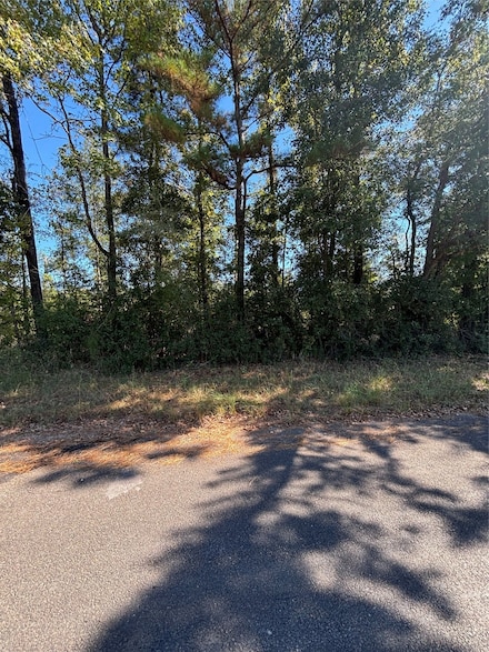 0 Old Highway 35 N Unit 40039141, Livingston, TX 77351