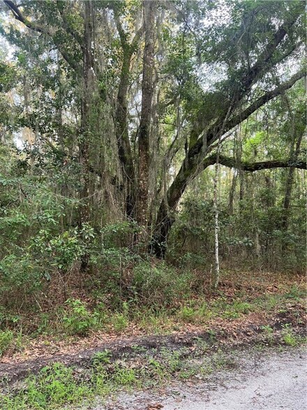 7 Acres Scott Hill Rd, Townsend, GA 31331