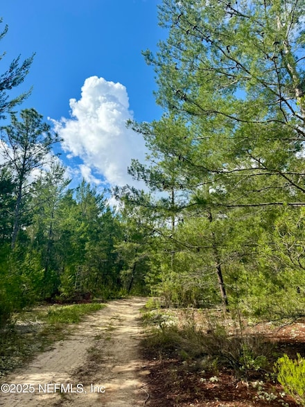 269 Alabama Ave, Hawthorne, FL 32640