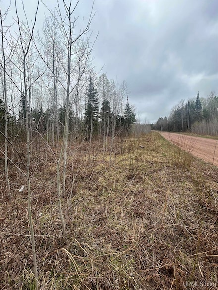 Parcel 3 Iron Pin Trail, Gwinn, MI 49841