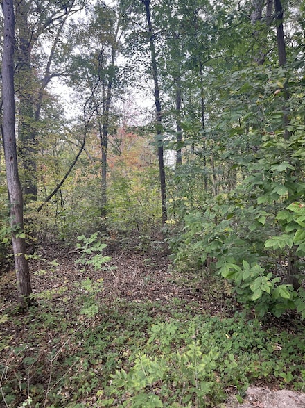 0 V L Riverdale Rd, Whitmore Lake, MI 48189