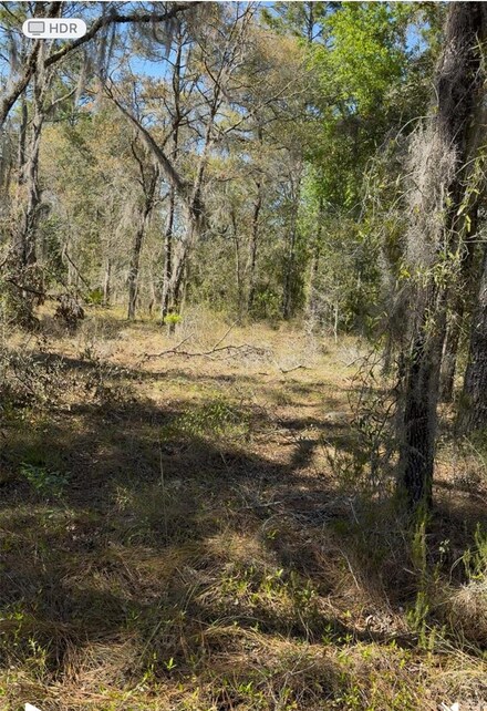 13921 SE 26 St, Williston Highlands, FL 32668