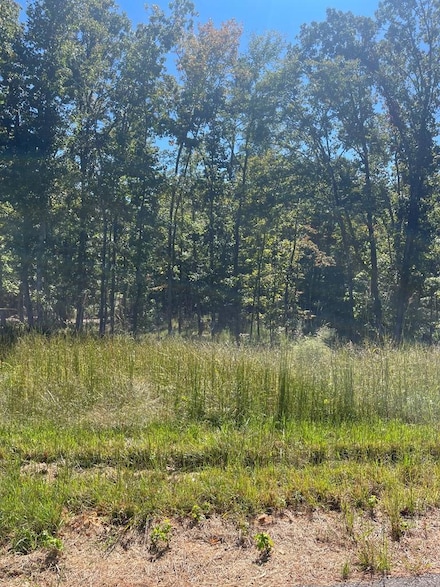 000 Beach Bluff Ln, Huntingdon, TN 38344