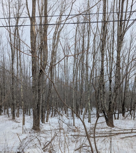 lot 7 Garcelon Rd, Burnham, ME 04922