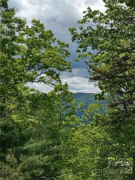 000 Dogwood Ln Unit E2, Penrose, NC 28766