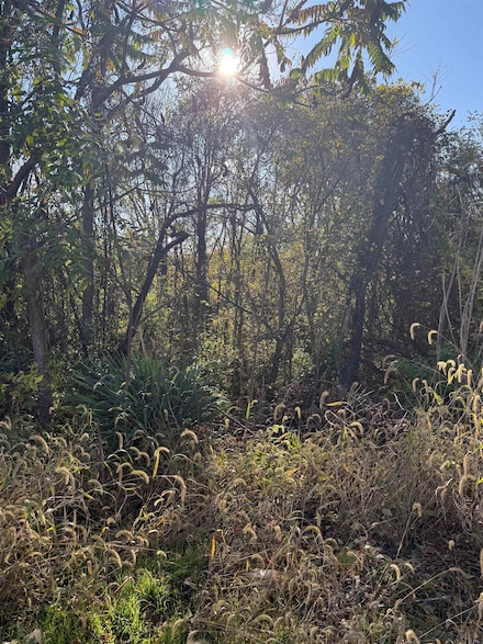 0 Jerome Rd Unit 670388, Mount Jackson, VA 22842