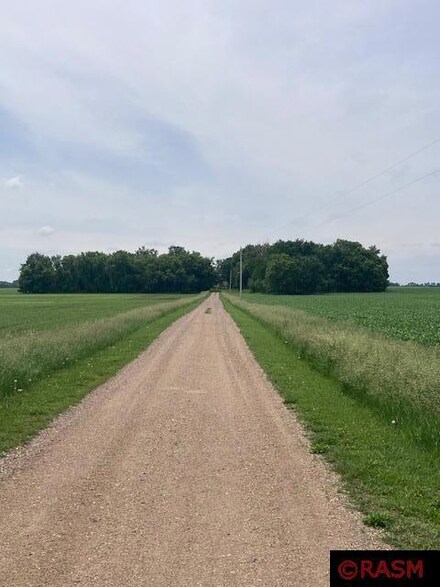 32488 230th St, Wabasso, MN 56293