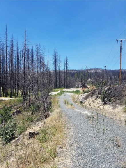 1465 Bald Rock Rd, Berry Creek, CA 95916