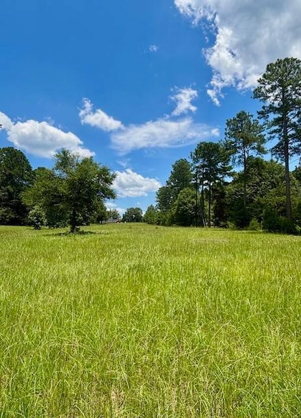 26489 Point A Isle Rd, Andalusia, AL 36421