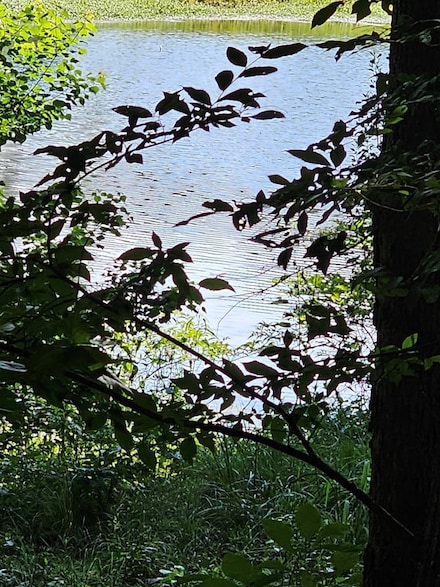 LOT21F Lakeshore Dr, Waverly Hall, GA 31831