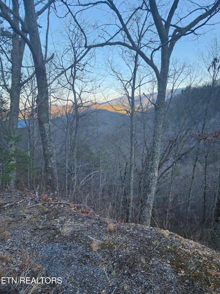0 Overholt Trail Unit 1289790, Sevierville, TN 37862