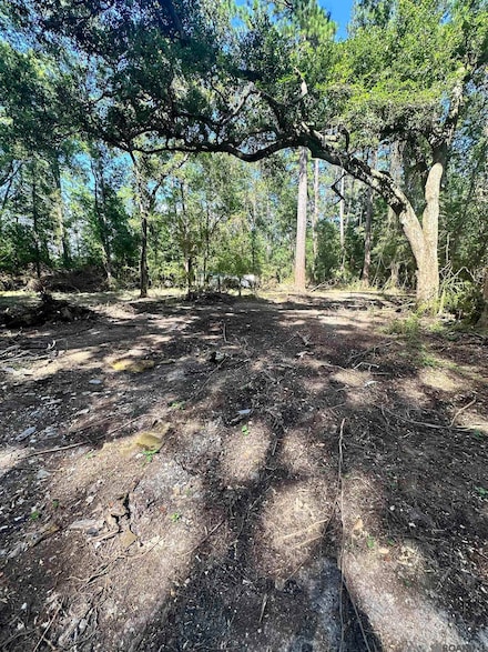 TBD Caleb Ln, Springfield, LA 70462