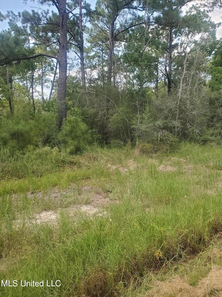 0 Dove Street Lot 81 & 82, Bay Saint Louis, MS 39520
