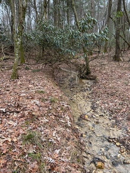 514 Sylvan Rd, Thurmond, NC 28683