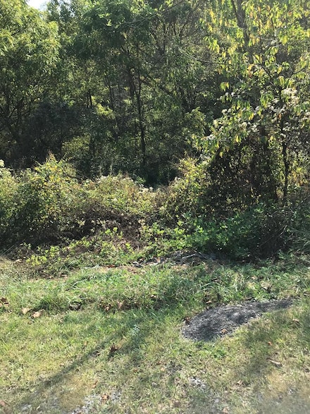 TBD Lot#17 Bryant Dr, Chilhowie, VA 24319