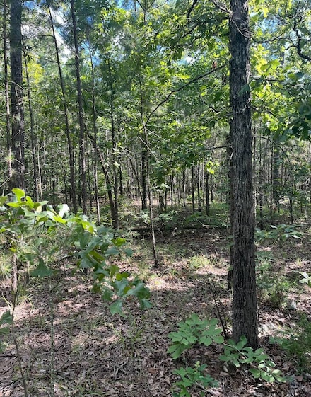 Tract 2 SE 1083 Road Ave, Red Oak, OK 74563