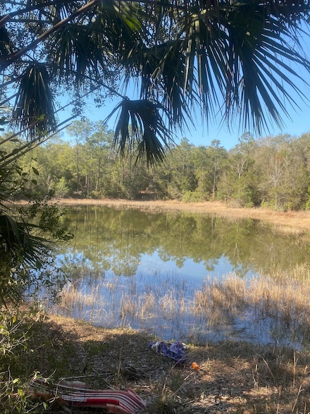 329 Ridge Rd, Satsuma, FL 32189