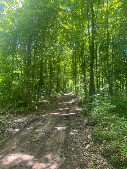 0 W Birdseye Trail Unit 201819350, Cedarville, MI 49719
