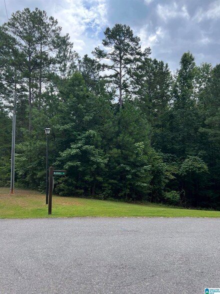 000 Bluegill Dr Unit 1, Wedowee, AL 36278