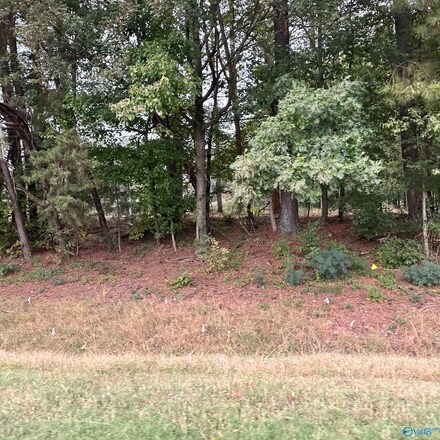 Lot 1 U S Highway 31, Athens, AL 35611