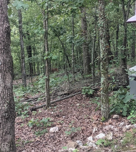 7177 9 Mile Ridge Rd, Hardy, AR 72542