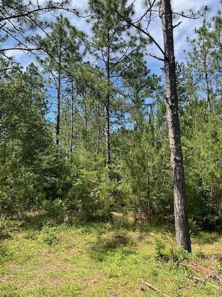 0 Hwy 13 Unit 20889194, Lumberton, MS 39455