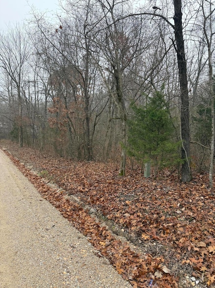 000 Pecan Dr, Grovespring, MO 65662