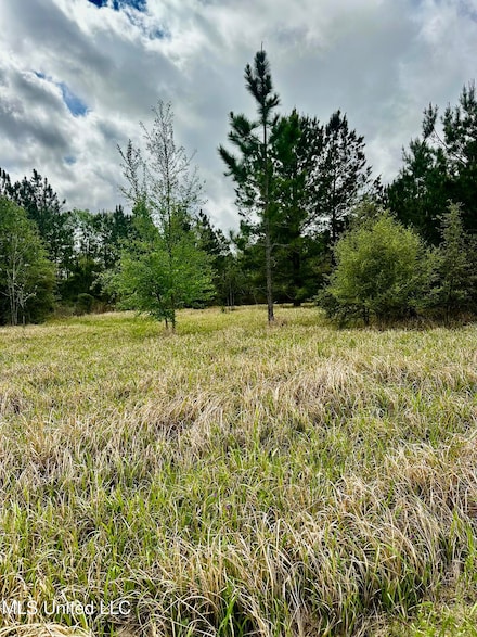 0 Hwy 613 Unit 4108899, Lucedale, MS 39452