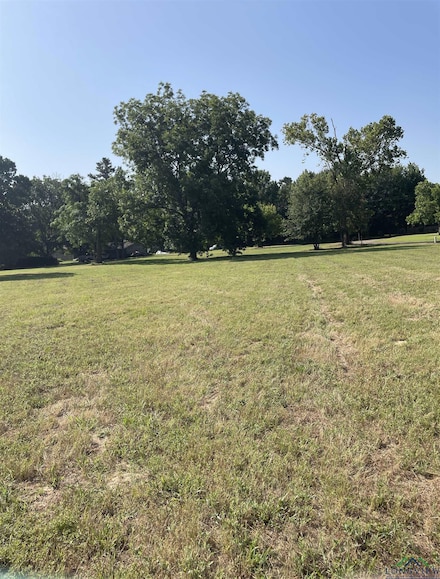 TBD Farm To Market 1519, Leesburg, TX 75451