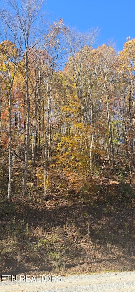 0 Emerald Springs Loop Unit 1321204, Sevierville, TN 37862