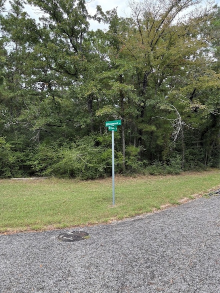 TBD Ash Ct 1, Huntsville, TX 77320