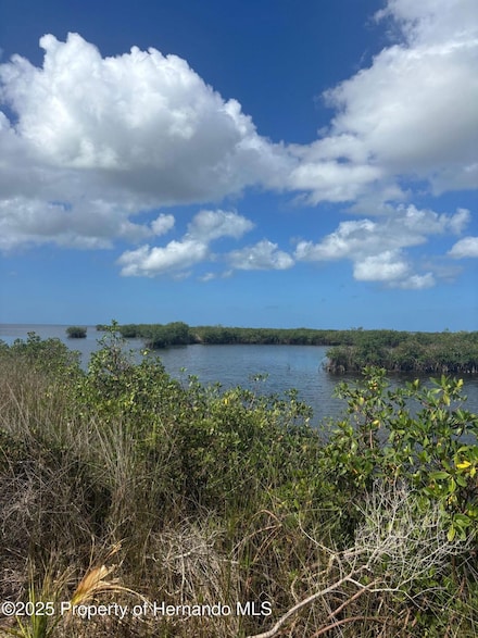 3217 Shine Ln, Hernando Beach, FL 34607
