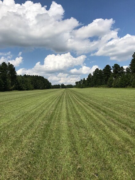 Lot P-2 Wexford Mill Rd, Wagener, SC 29164