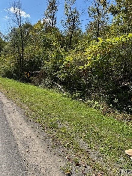 0 Clark Hollow Rd Unit S1637516, Fabius, NY 13084