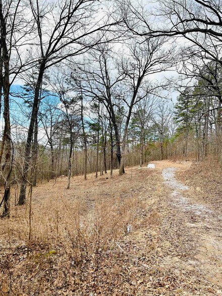 0 Tbd Ruddells Rd, Mountain View, AR 72560