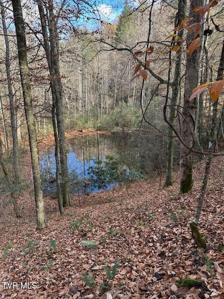Tbd Retriever Ln, Haysi, VA 24256