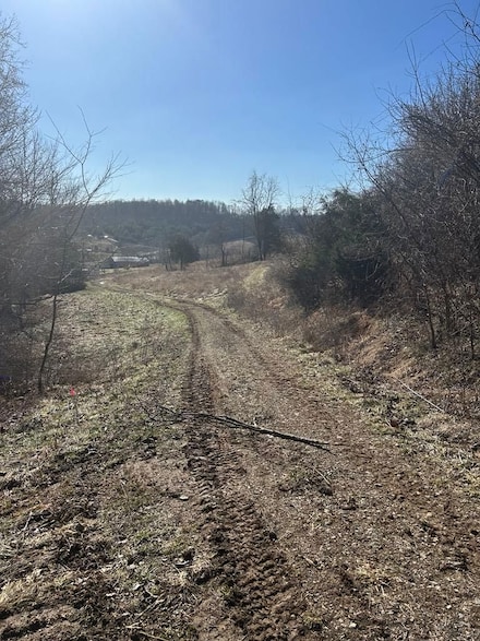 0 Gerike Rd, Vanceburg, KY 41179