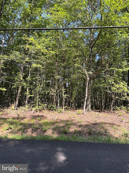 Lot 1 Detour Rd, Great Cacapon, WV 25422