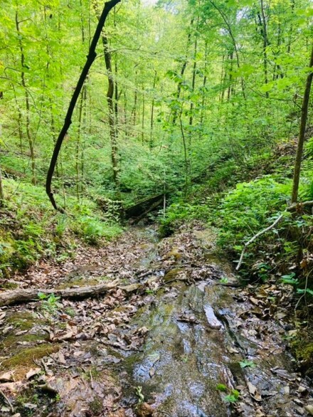 000 Beulah Land Way, Pickens, SC 29671