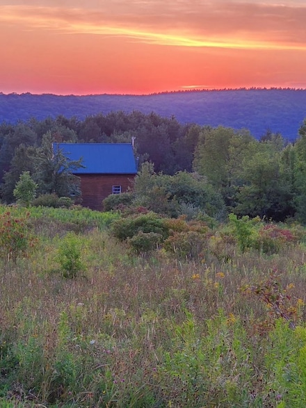 112 Goldenrod Lane Lot Unit WP001, Smyrna, NY 13464
